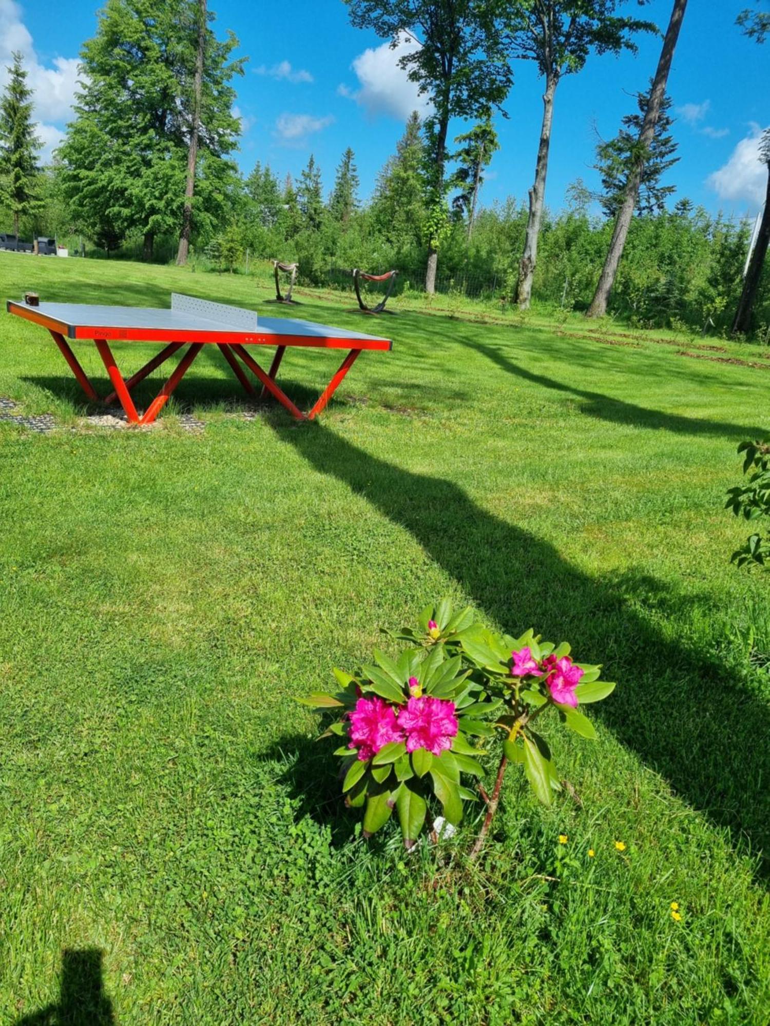 Bed and Breakfast Zakatek Pod Smrekami Косьцелісько Екстер'єр фото
