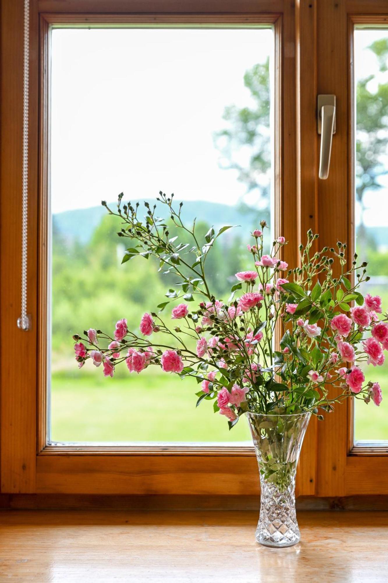 Bed and Breakfast Zakatek Pod Smrekami Косьцелісько Екстер'єр фото