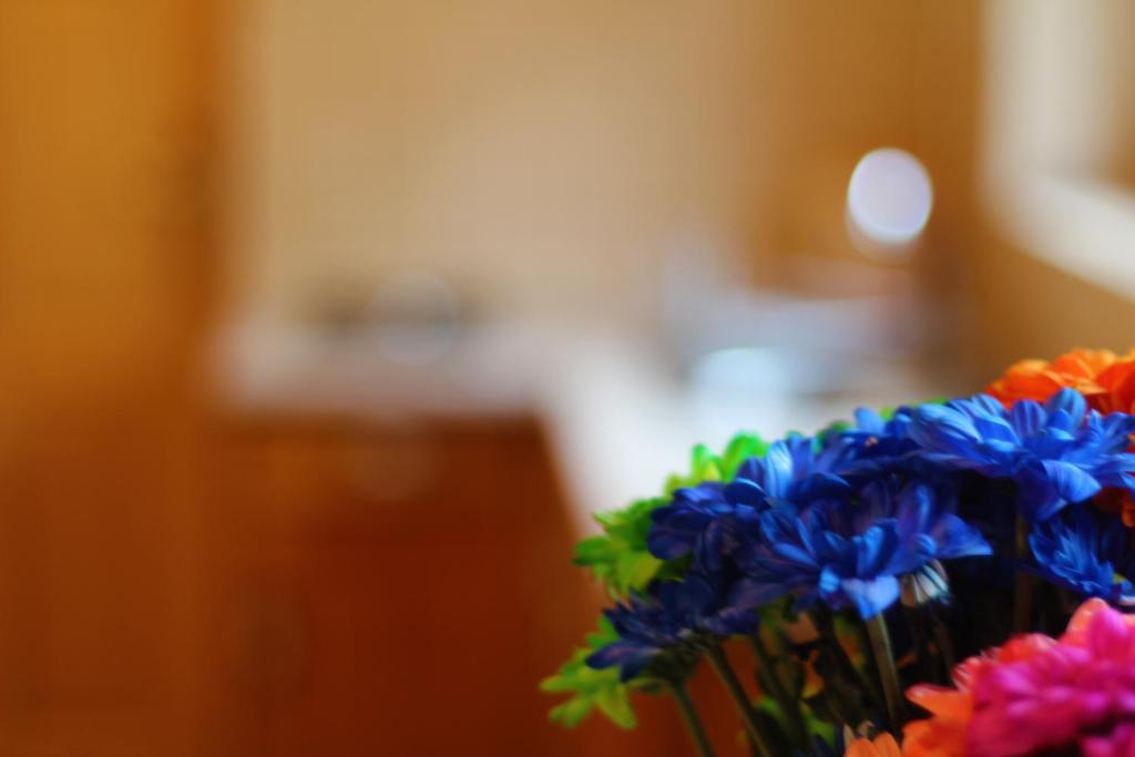 Bed and Breakfast Zakatek Pod Smrekami Косьцелісько Номер фото
